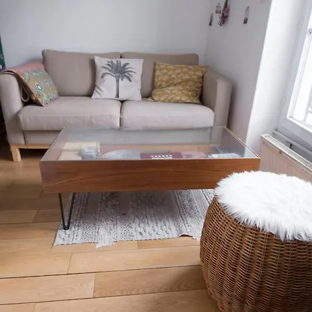 Apartment Bright And Charming In Belleville *